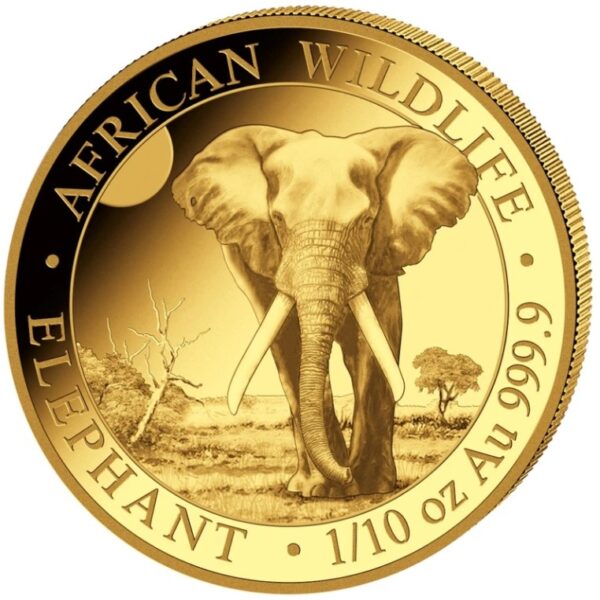 Gouden Somalische olifant 1/10 oz 2025