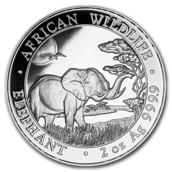 Somalische olifant 2 oz 2019