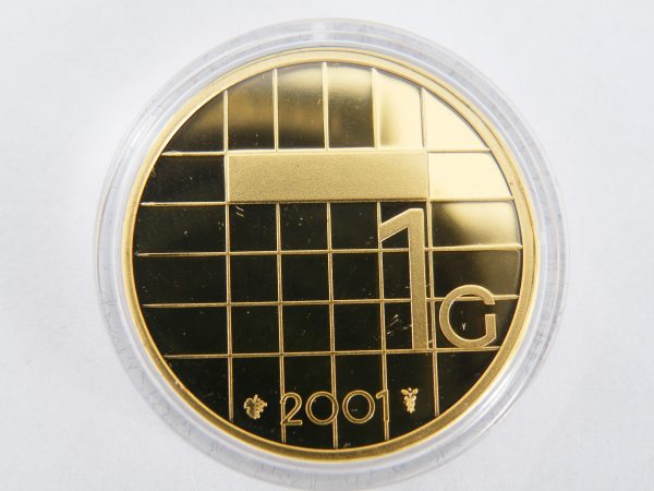 betaling ongeluk plus Gouden 1 Gulden Ninaber 2001 - 101 munten