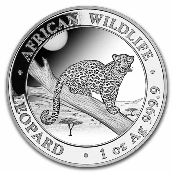 somalia leopard