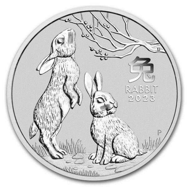 year of the rabbit