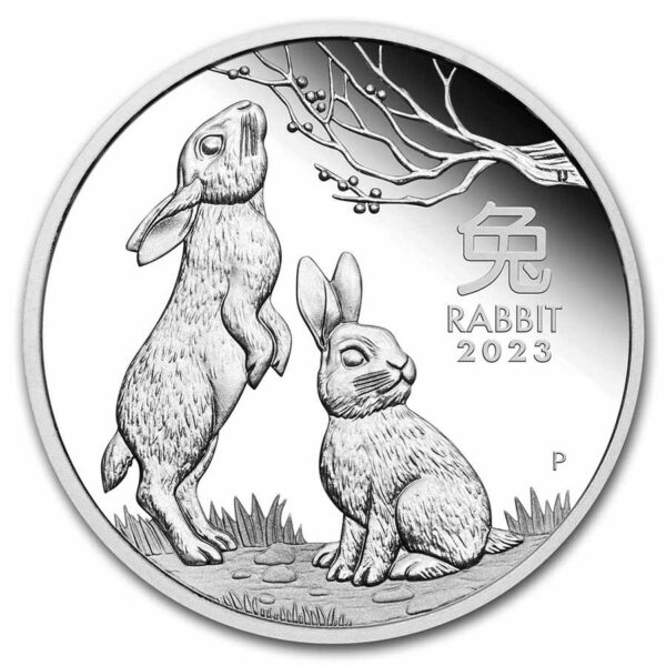 year of the rabbit