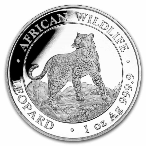 somalia leopard