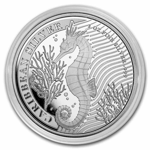 seahorse barbados 2023
