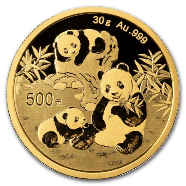 Gouden China Panda 30 gram 2025 met gewicht