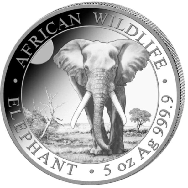 Somalische Olifant 5 oz 2025