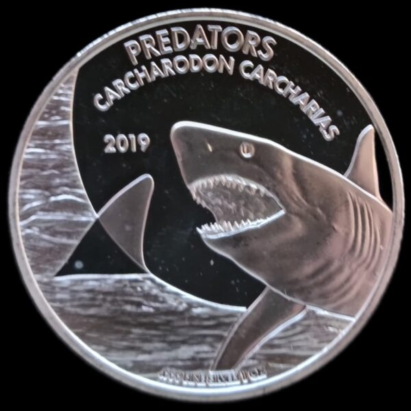 Carcharodon