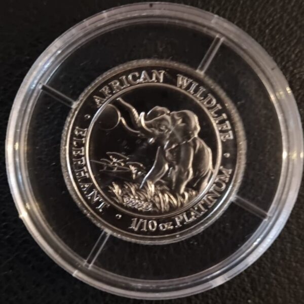 Platina Somalische olifant