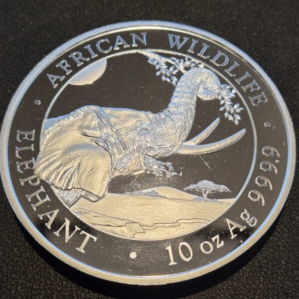 Somalische olifannt 10 oz 2023