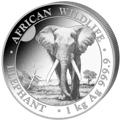 Somalische Olifant 1 kg 2025