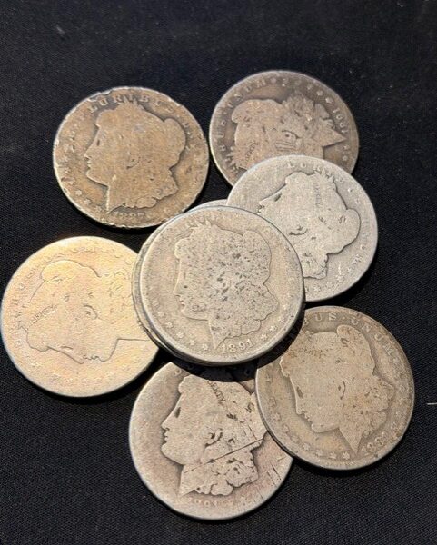 Lot Morgen dollar