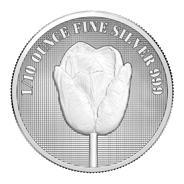Dutch Silver Tulip