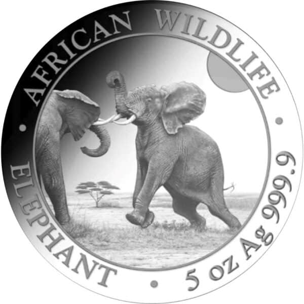 Somalische olifant 5 oz 2024