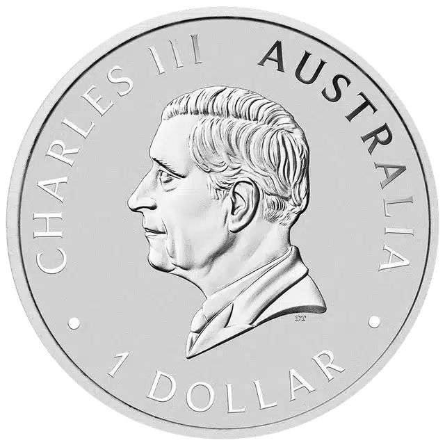 Swan 1 oz 2026 coloured (1.500 oplage) - Image 2